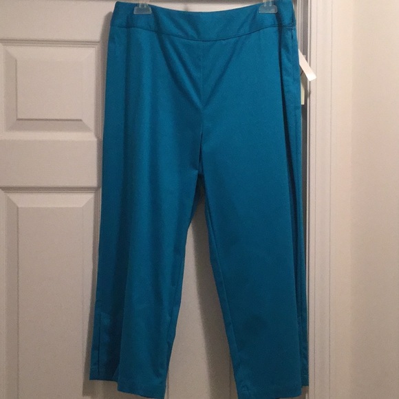 Valerie Stevens Pants - Valerie Stevens Capris (petite)